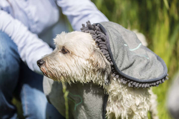 TRIXIE Handtuch mit Handlaschen